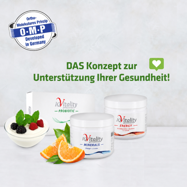 Das Gesamtkonzept